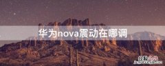 华为nova8震动在哪调 华为nova震动在哪调