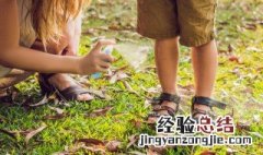 夏天蚊子太多用什么东西驱蚊 五个小妙招赶走蚊子