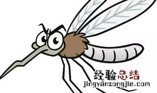 蚊子在生物链中起什么作用 缺少蚊子会有什么后果