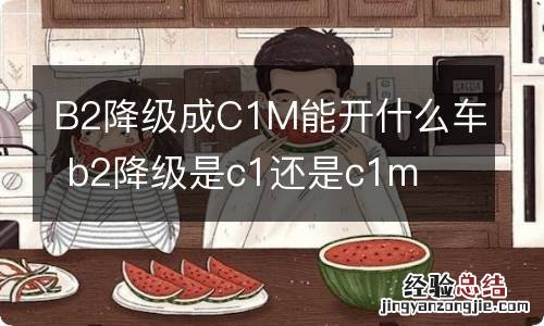 B2降级成C1M能开什么车 b2降级是c1还是c1m