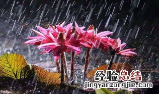 梅雨季节是几月份 南方的梅雨季节是几月份