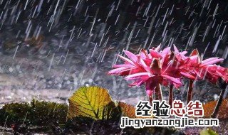 梅雨季节什么时候 梅雨季节什么时候结束