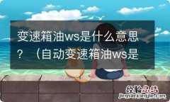 自动变速箱油ws是什么意思 变速箱油ws是什么意思？