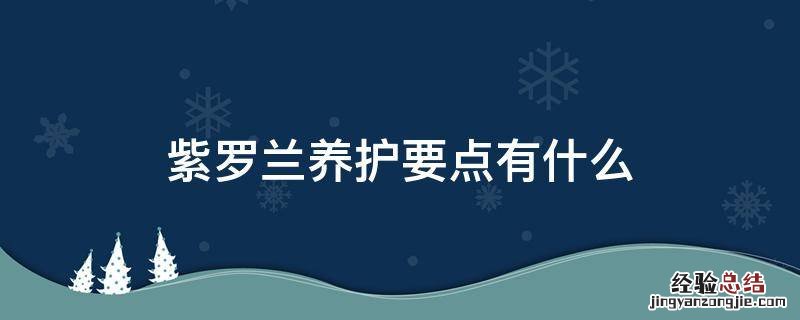 紫罗兰养护要点有什么