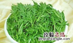 菊花菜什么时候种 菊花菜什么时候种最好