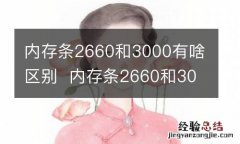 内存条2660和3000有啥区别内存条2660和3000区别