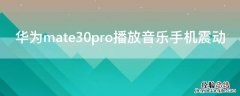 华为mate30pro播放音乐手机震动