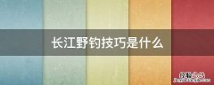 长江野钓技巧是什么