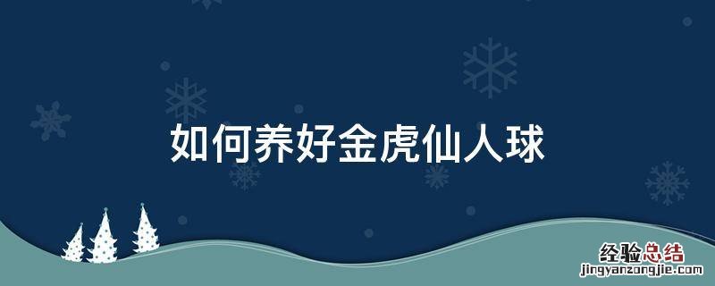 如何养好金虎仙人球
