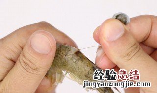 正确的抽虾线方法
