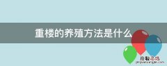 重楼的养殖方法是什么