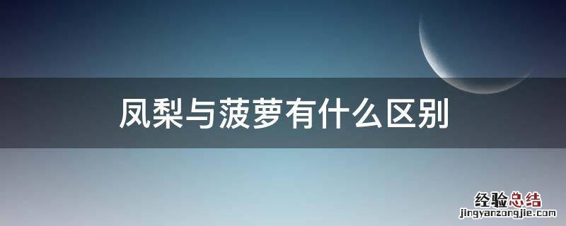 凤梨与菠萝有什么区别