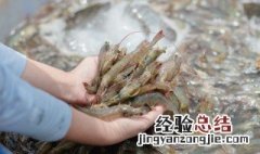 对虾和基围虾的区别 对虾和基围虾哪个贵