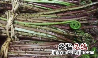 猴腿菜焯水后怎么保存 猴腿菜焯水后如何保存