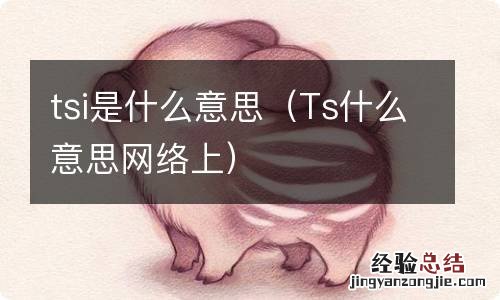 Ts什么意思网络上 tsi是什么意思