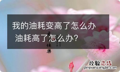 我的油耗变高了怎么办 油耗高了怎么办?