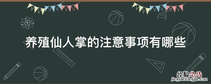 养殖仙人掌的注意事项有哪些