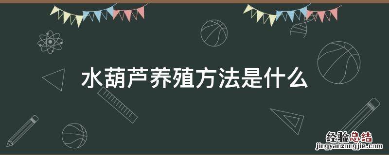 水葫芦养殖方法是什么