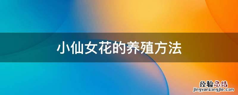 小仙女花的养殖方法