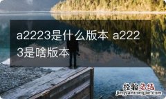 a2223是什么版本 a2223是啥版本