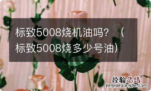 标致5008烧多少号油 标致5008烧机油吗？