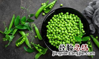 豌豆尖怎么择菜新手 豌豆尖怎么择