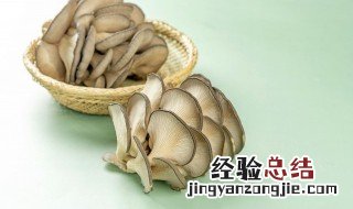 自己家里如何种蘑菇 自己在家如何种蘑菇