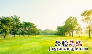 五级风是什么程度 什么是五级风