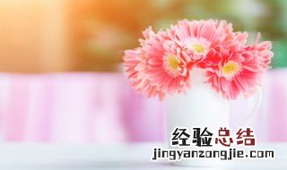 阿司匹林鲜花保鲜小窍门 如何用阿司匹林保存鲜花