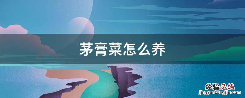茅膏菜怎么养