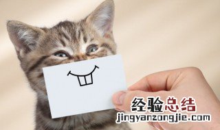 夫妻之间的笑话 夫妻之间的笑话有哪些