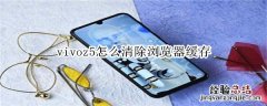 vivoz5怎么清除浏览器缓存