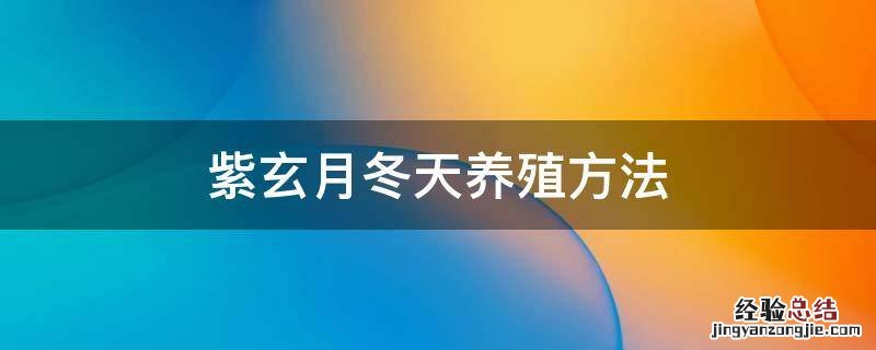 紫玄月冬天养殖方法