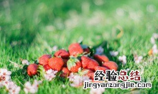 早安问候语幽默给女人图片 早安问候语幽默给女人