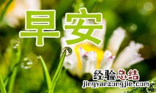 清晨的问候暖心 清晨的问候暖心图片