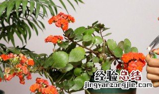 插花器具怎么保养 花器如何保养