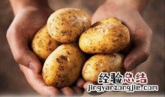 冬季怎么保存土豆不发芽 有什么保存的技巧