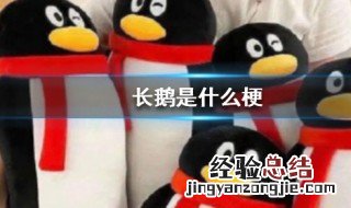 长鹅什么梗 长鹅是什么意思