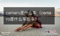 camaro是什么车跑车 camaro是什么车