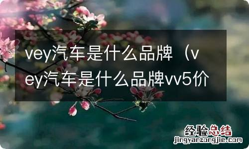 vey汽车是什么品牌vv5价格 vey汽车是什么品牌