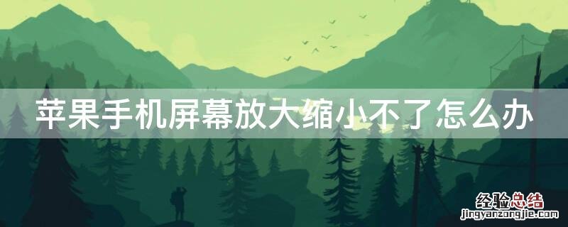 iPhone手机屏幕放大缩小不了怎么办