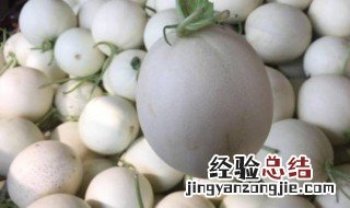 玉菇瓜怎么判断成熟 玉菇瓜判断成熟的方法