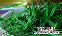 竹竿叶子可以泡茶喝吗 砍掉的竹竿叶子怎么保鲜