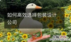 如何高效选择包装设计公司