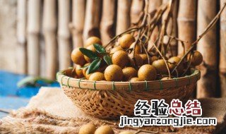 桂圆种子怎么种盆景 桂圆种子盆栽怎么做