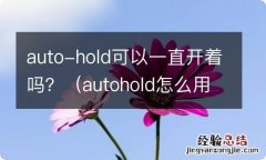 autohold怎么用 auto-hold可以一直开着吗？