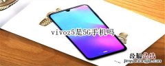 vivoz5是5G手机吗