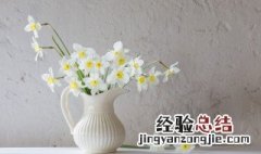 道歉用什么花 道歉送的花