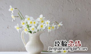 道歉用什么花 道歉送的花