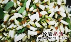 槐花怎么冷冻储藏 槐花的冷冻储藏方法